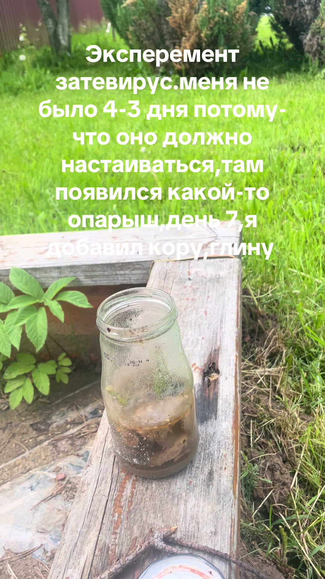 @nexion