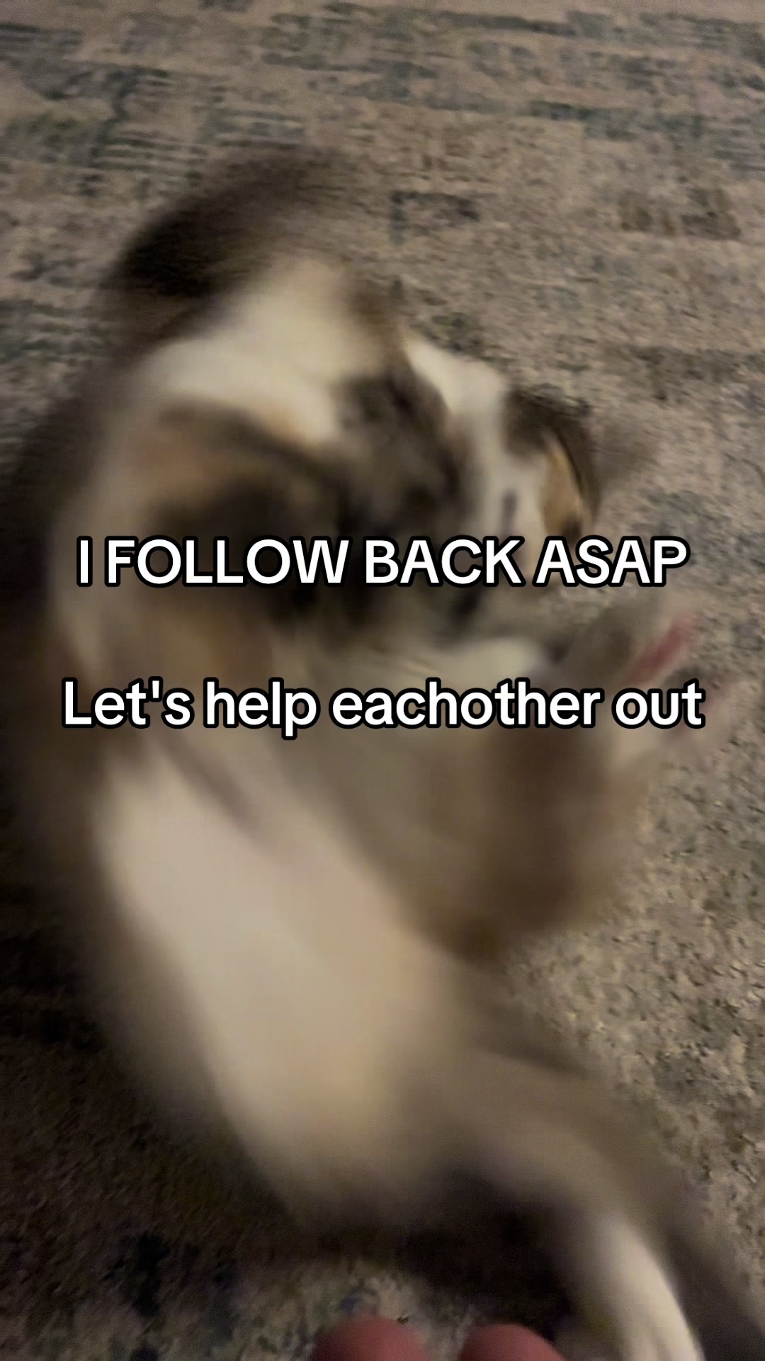 @Simbaa