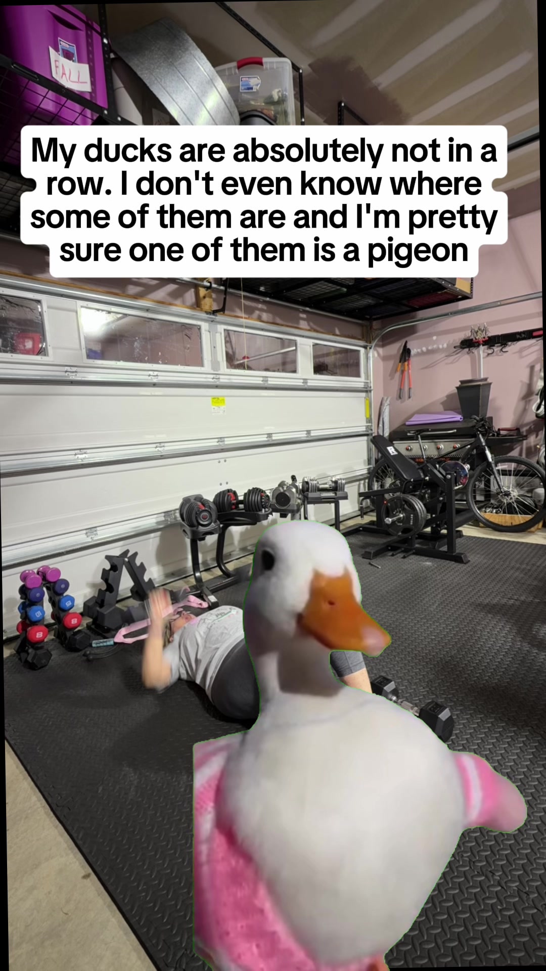 @Geri Peltier