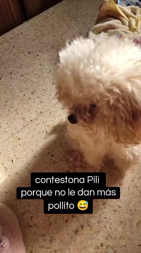@Florcitamdq🌷