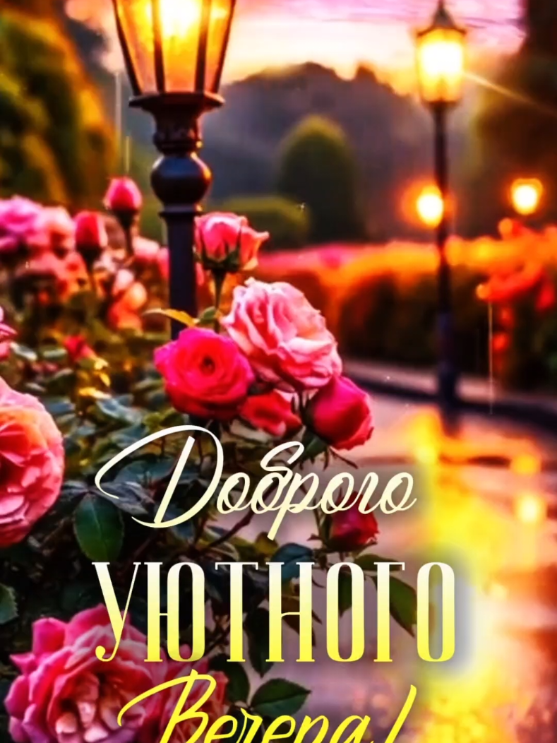 @❀︎𝓞𝔁𝓪𝓷𝓪_𝓸𝓴10❀︎