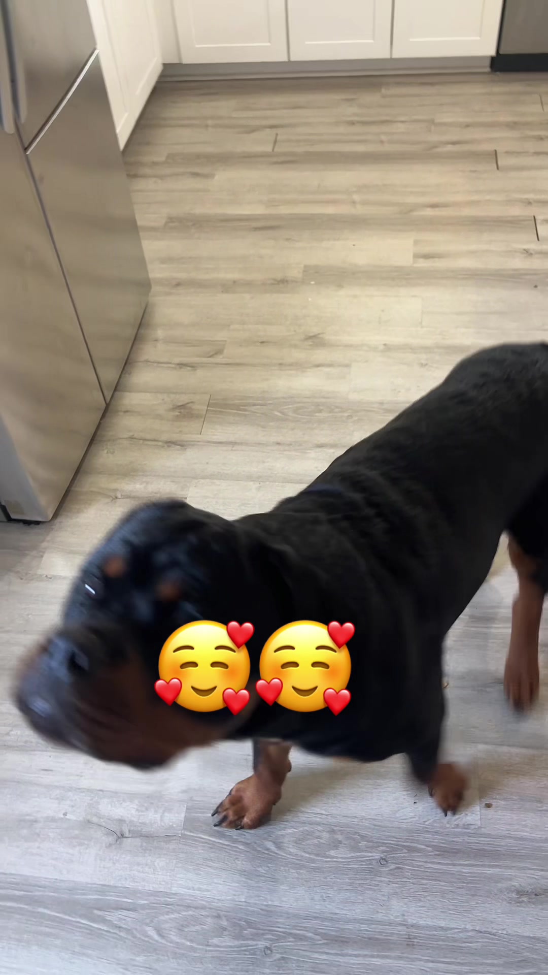 @captainflex81