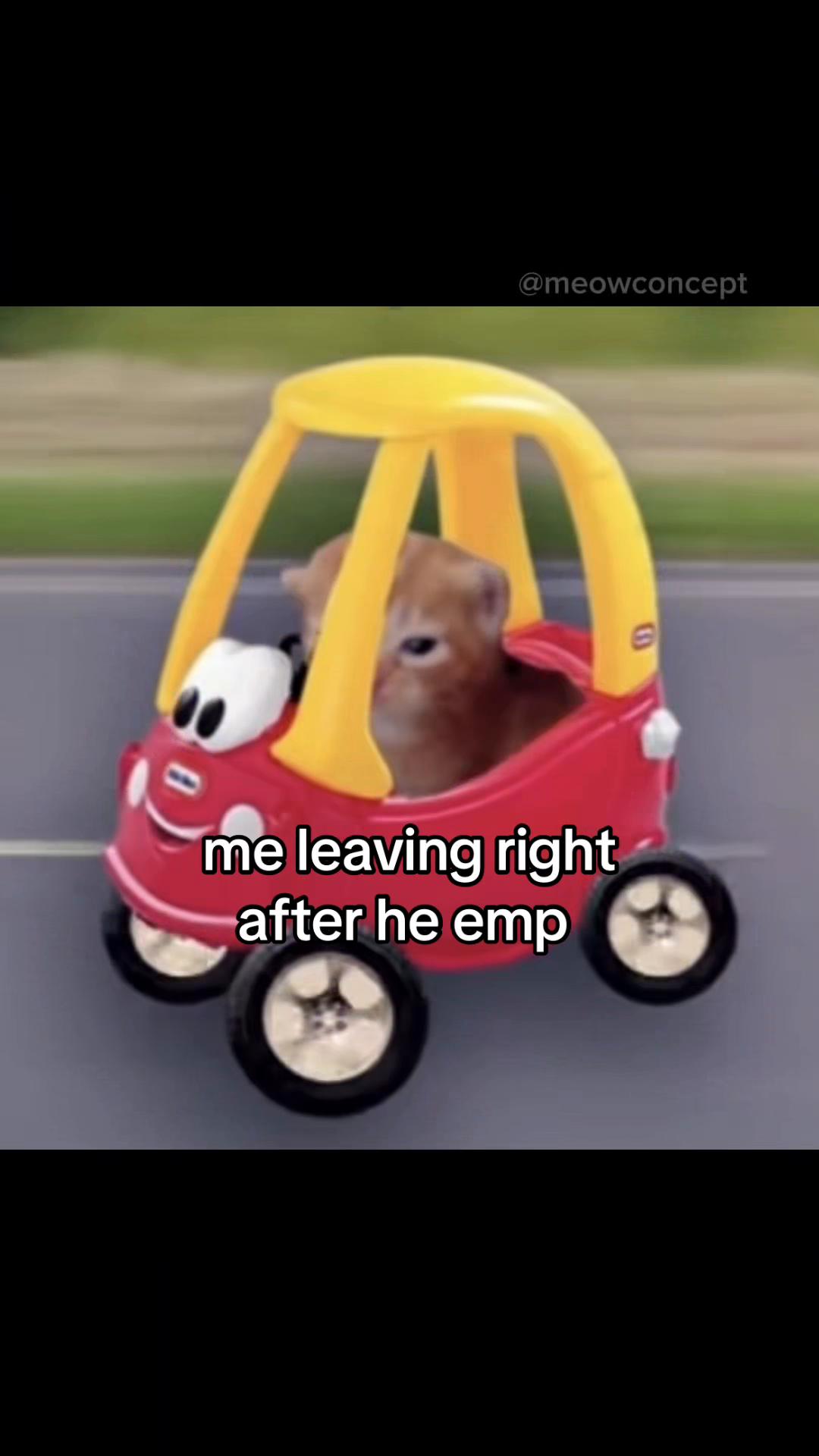 @meowconcept