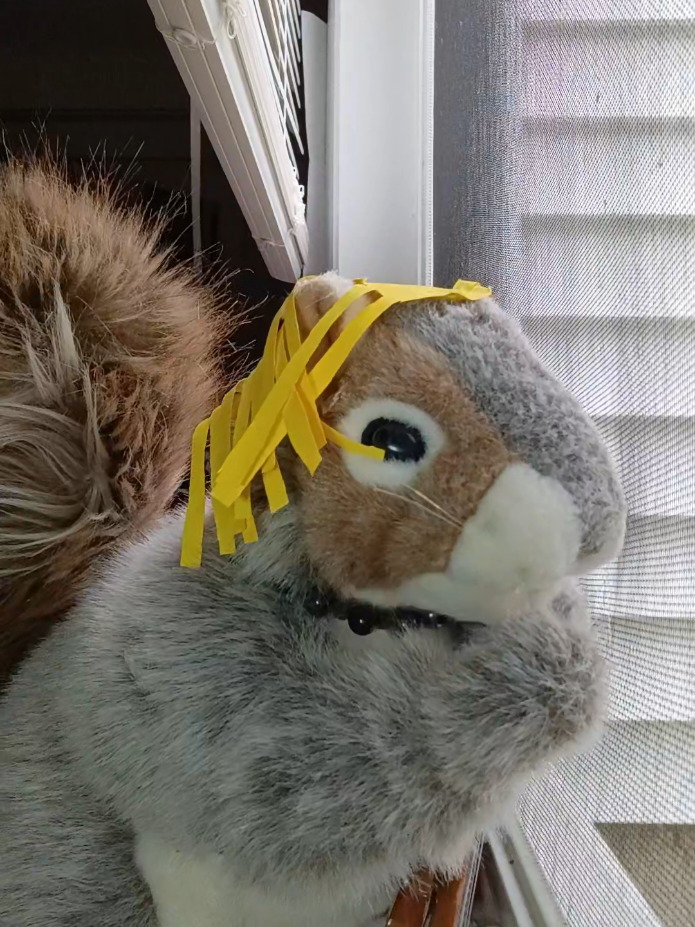 @Charles The Squirrel