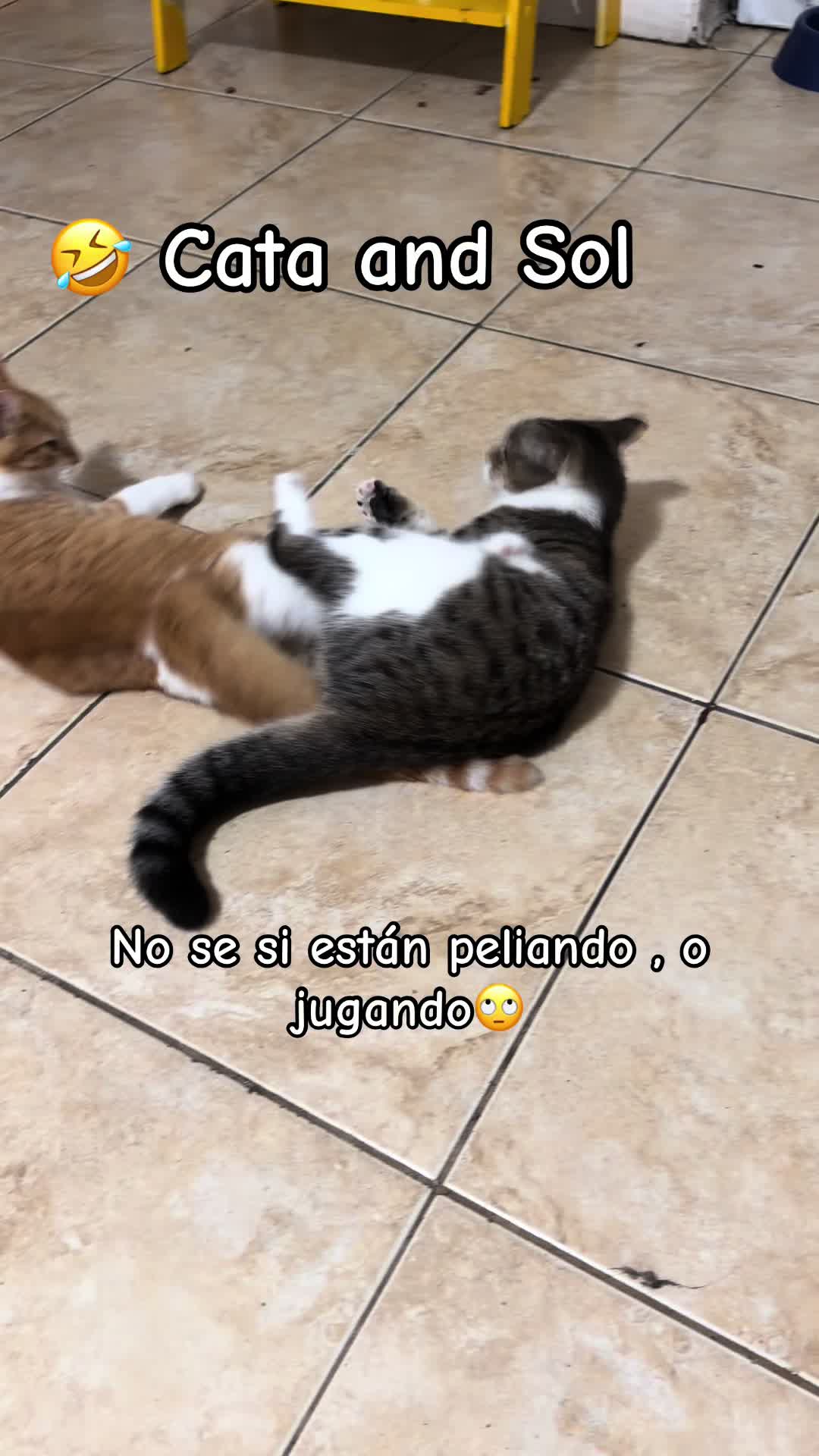 @Yoly La Emperatriz👑🦋