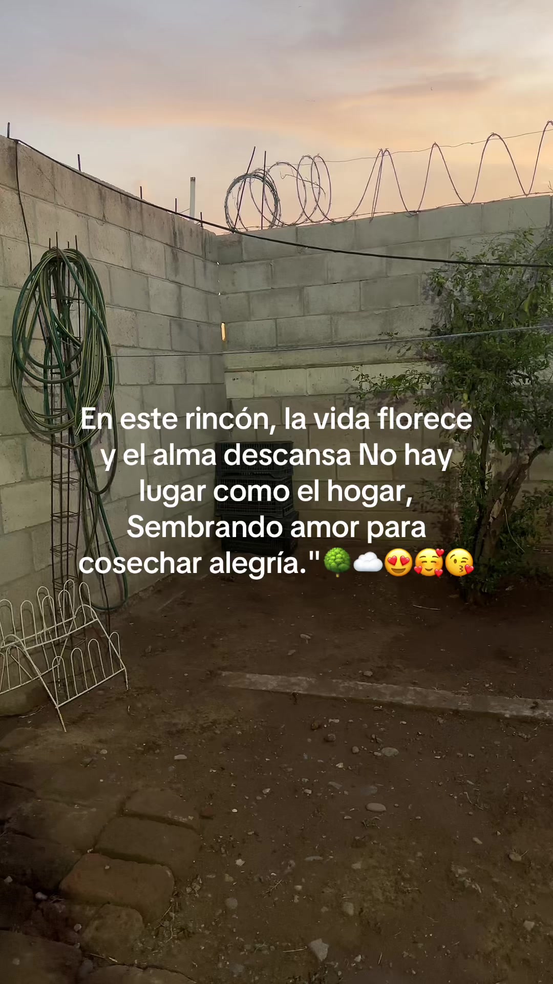 @Dayana Perez