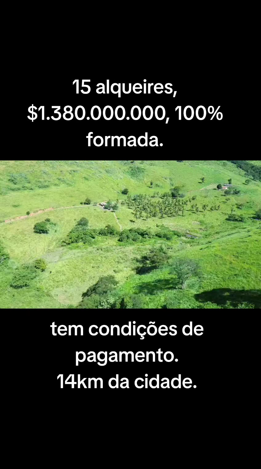 @O REI DAS FAZENDAS.