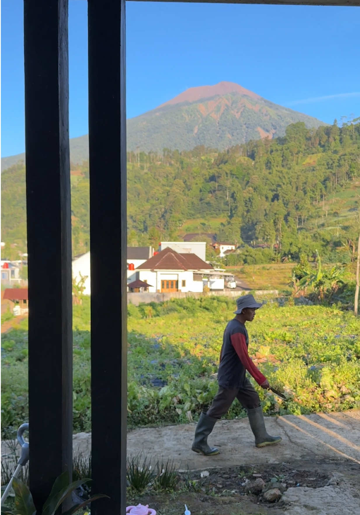 @Purbalingga