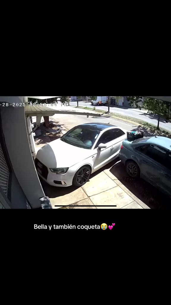 @Bellotaa🎀