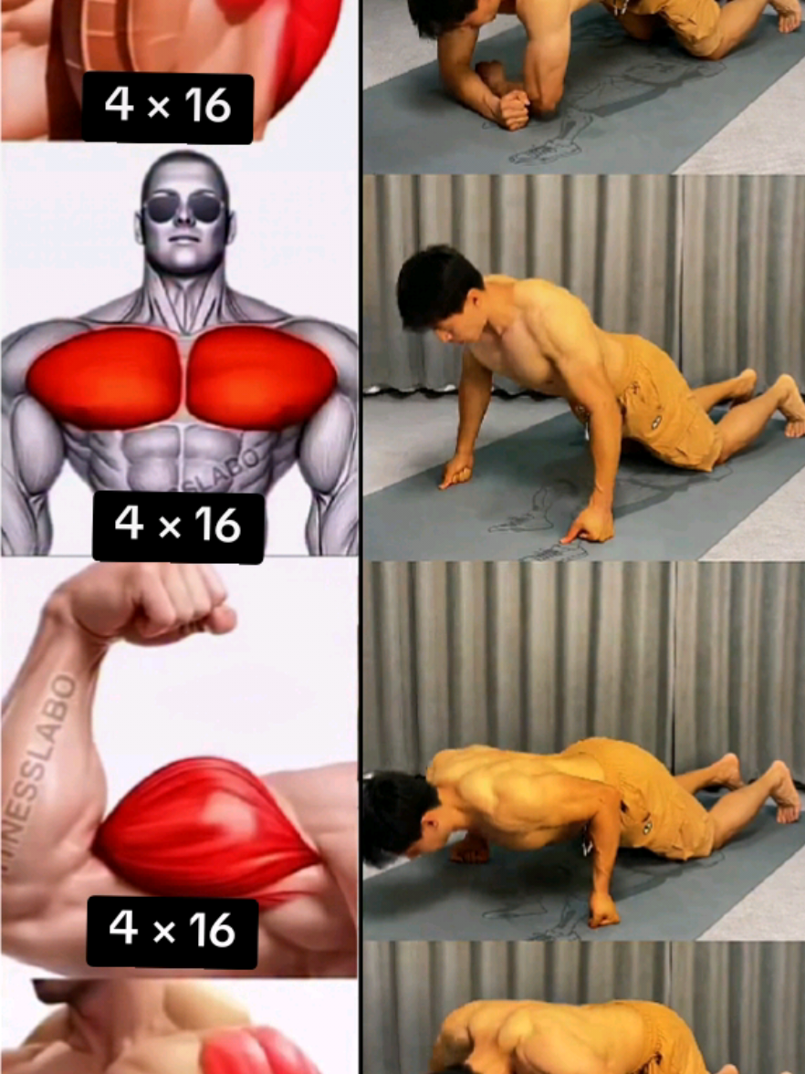 @𝑮𝒚𝒎.𝑭𝒊𝒕𝒏𝒆𝒔𝒔