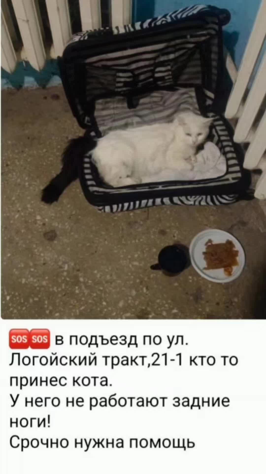 @ЗООшанс