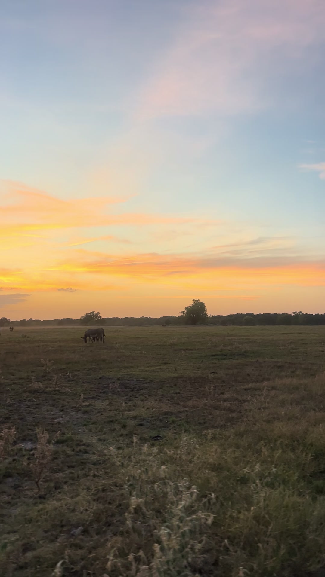 @The V6 Ranch