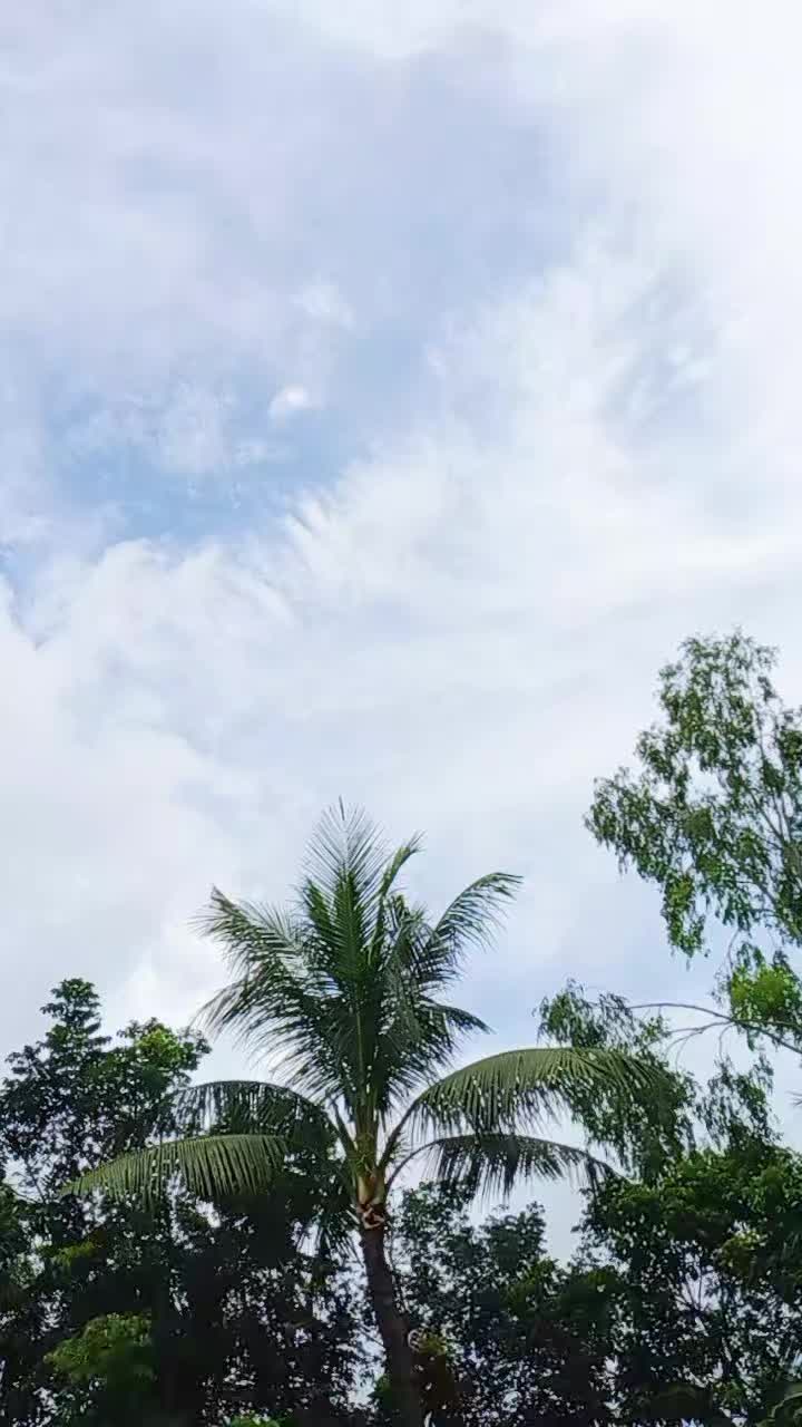 @✈️ প্রবাসীর বউ ✈️