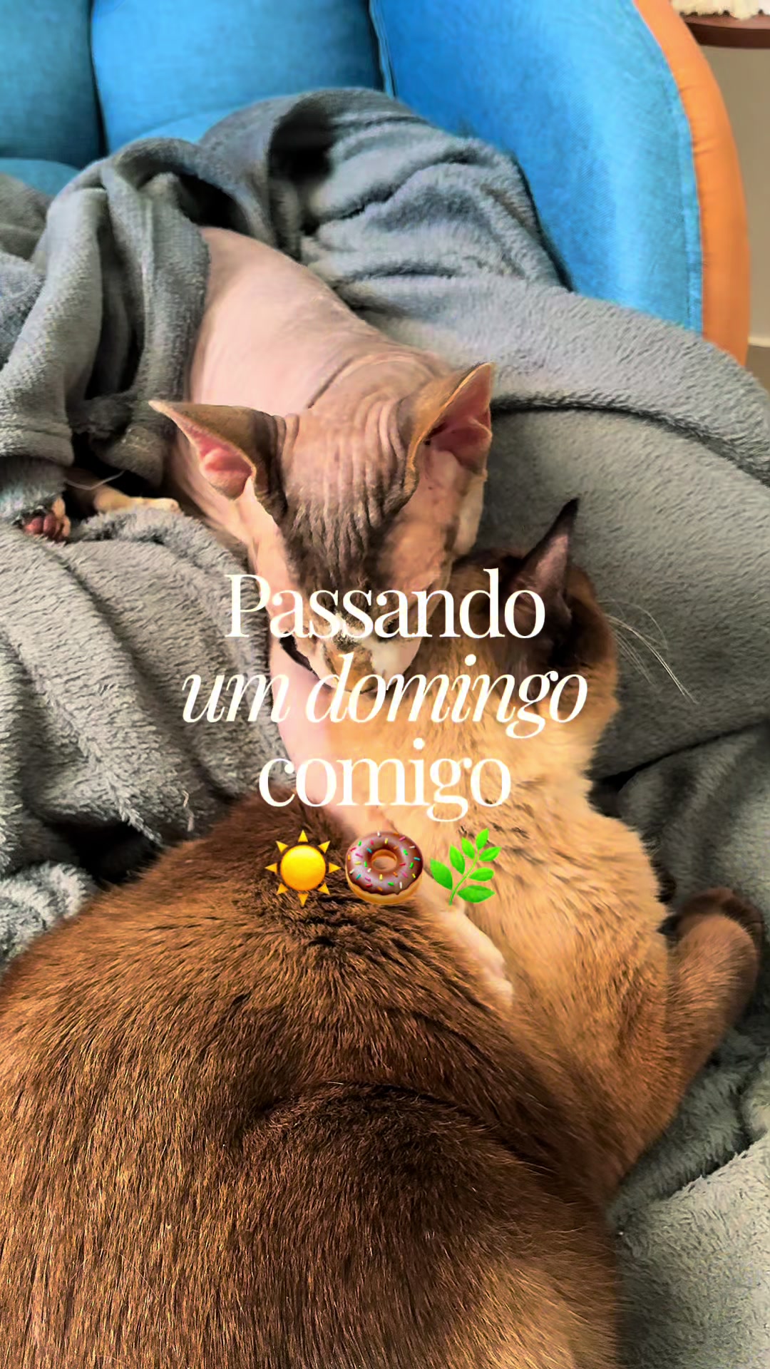 @Nathalia
