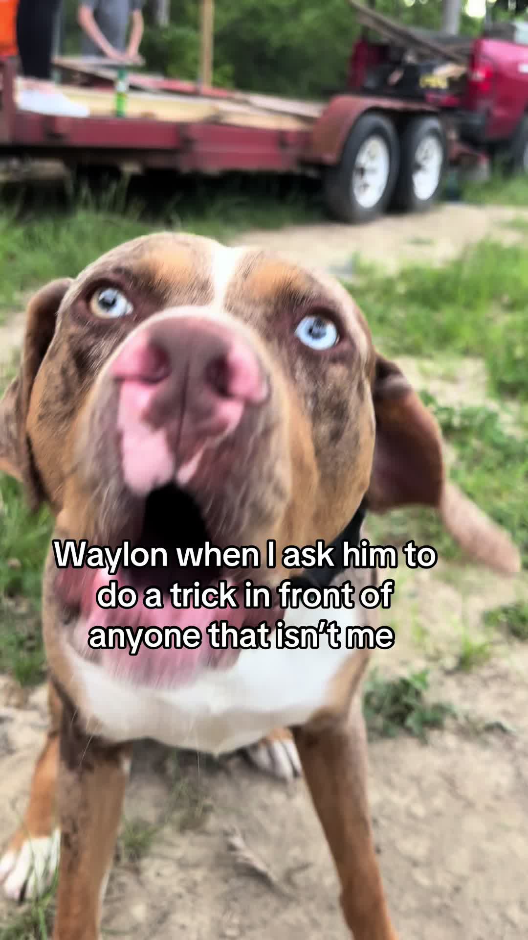 @Waylon