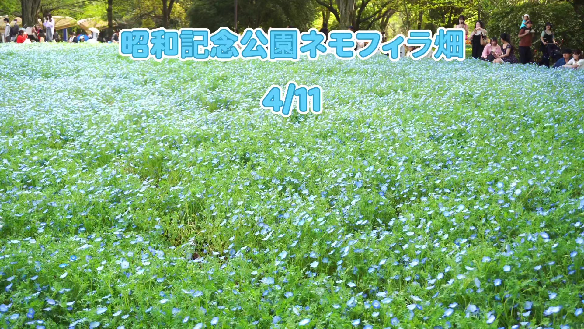 @とも 思い出カメラマン 写真お渡しします