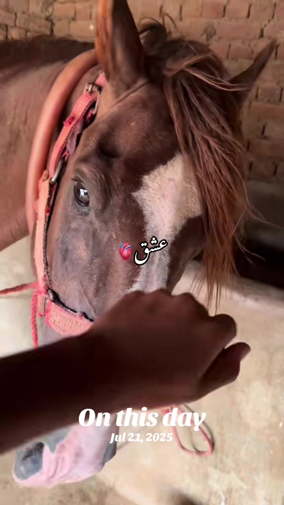 @Sameerx653