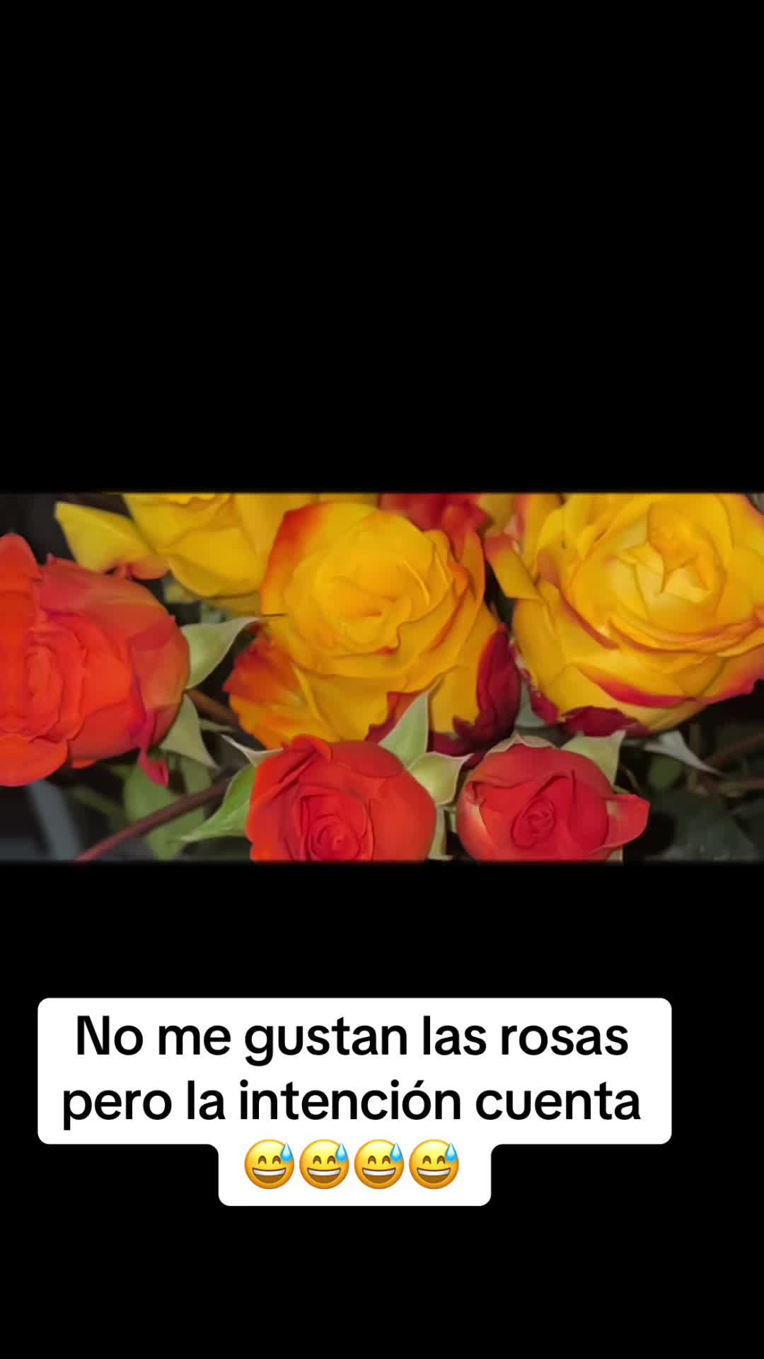 @Jani
