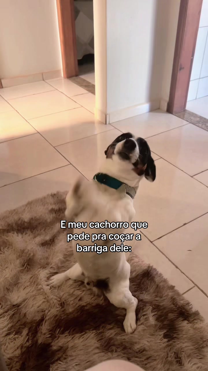 @Jaquee