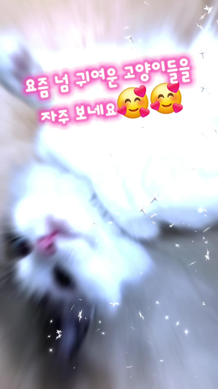 @𓆩✨️🔥인생중년🔥✨️𓆪