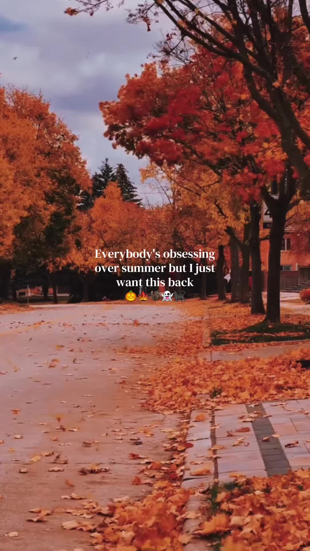 @fall.cozy_vibes