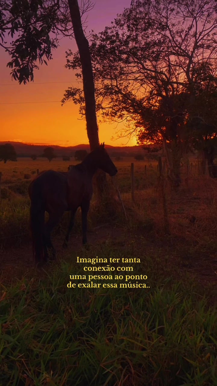 @Lu Oliveira