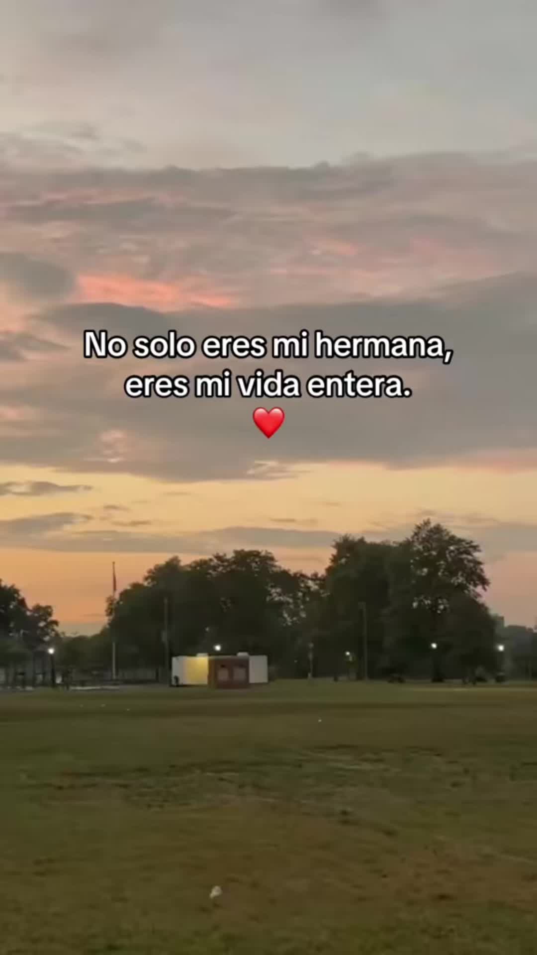 @𝒥𝑜𝒽𝒶_𝓃𝓃𝒶🌸