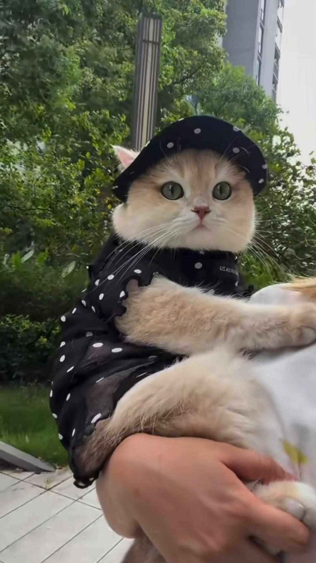 @My Daily Dose of Aww