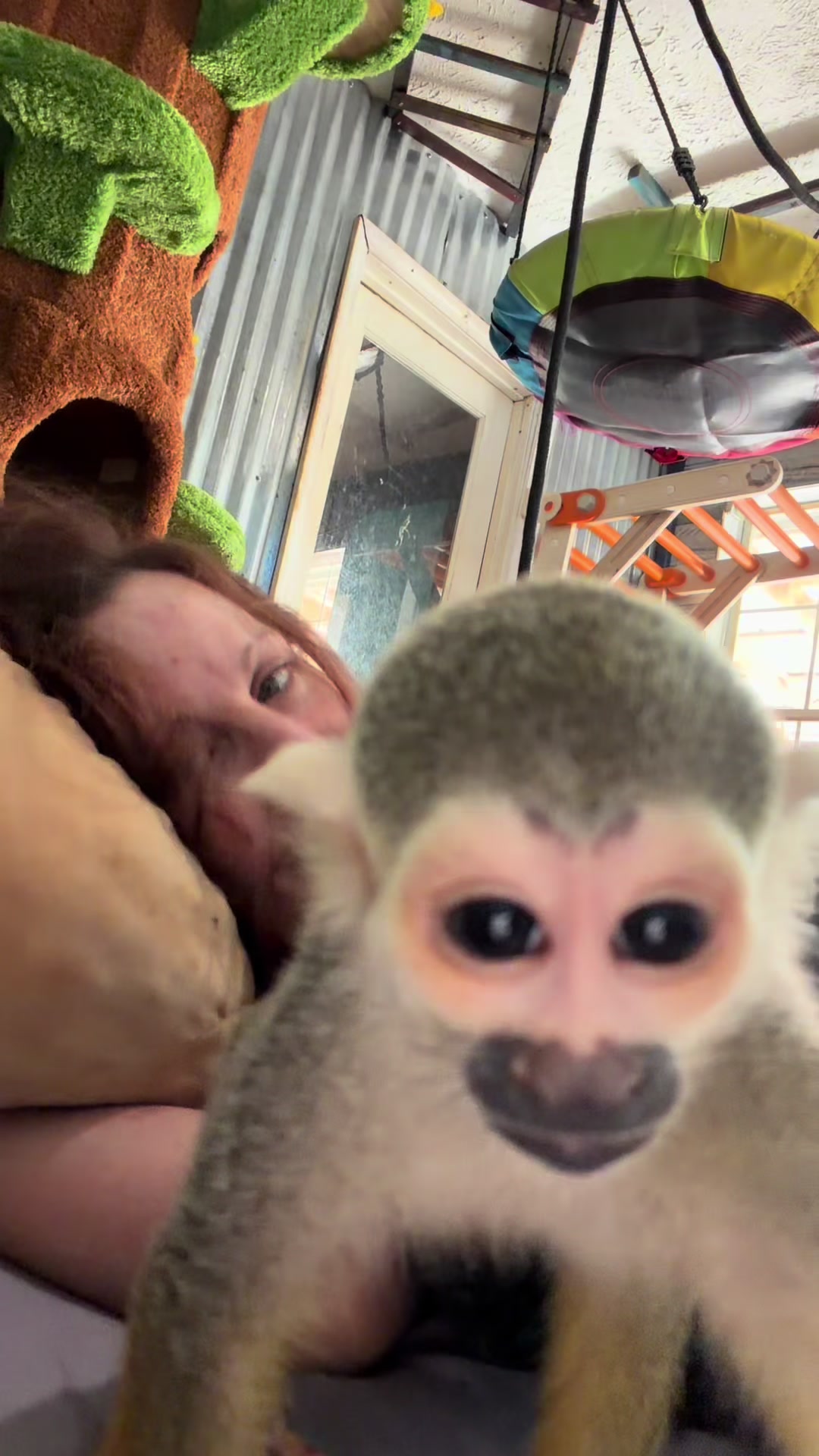 @Full House Exotics