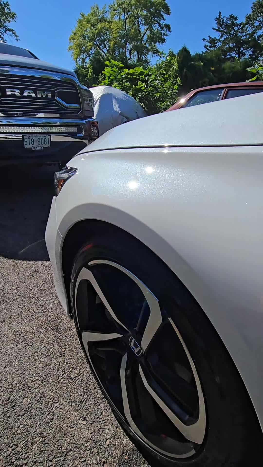 @LuisAutoDetailing 🦍💥🦍
