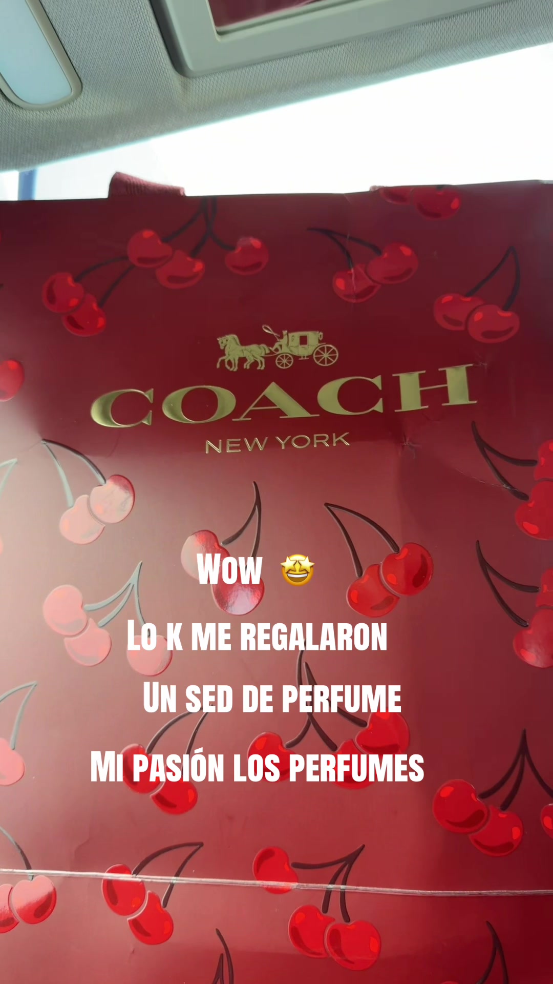 @Chela A367