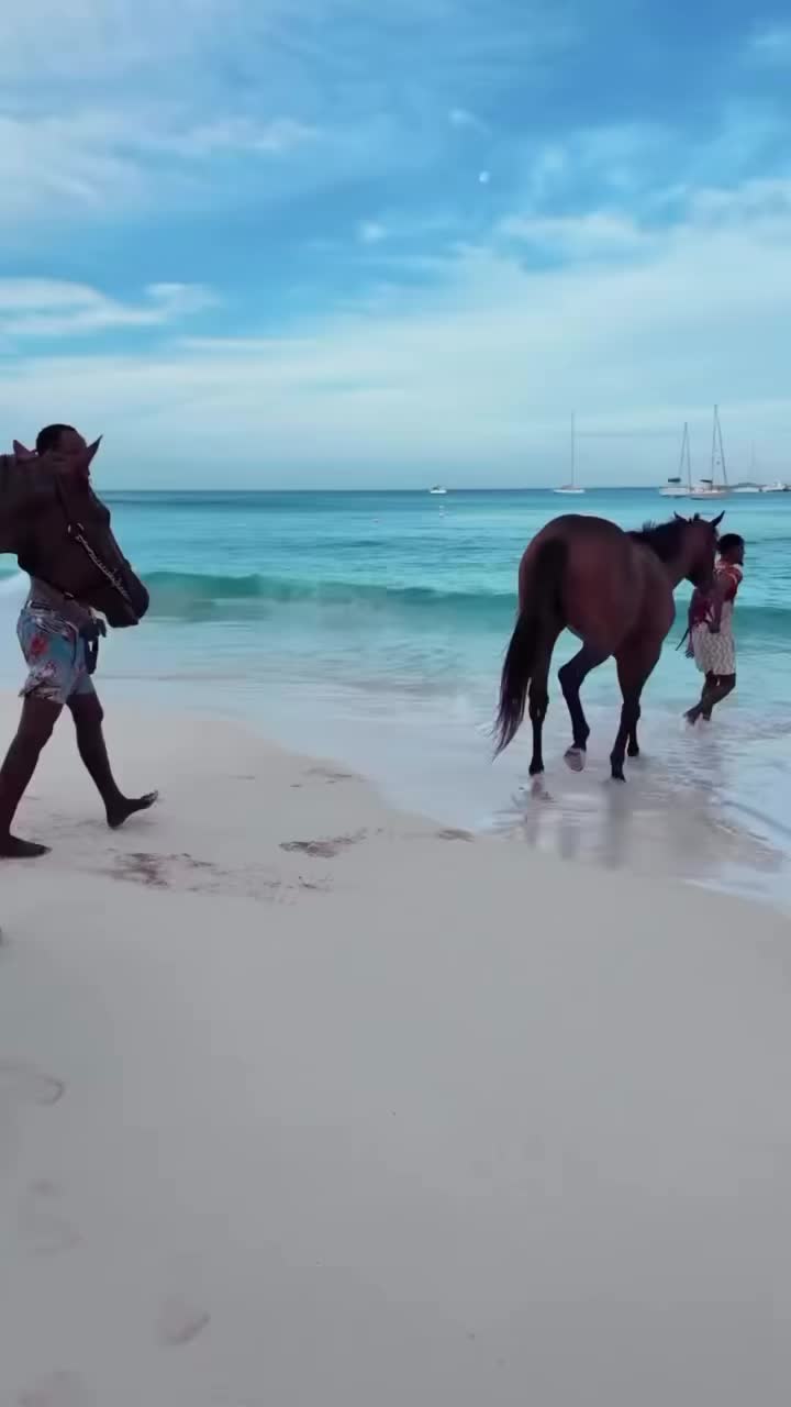 @𝕋𝕀𝔽𝔽𝔸ℕ𝕐 𝕃.