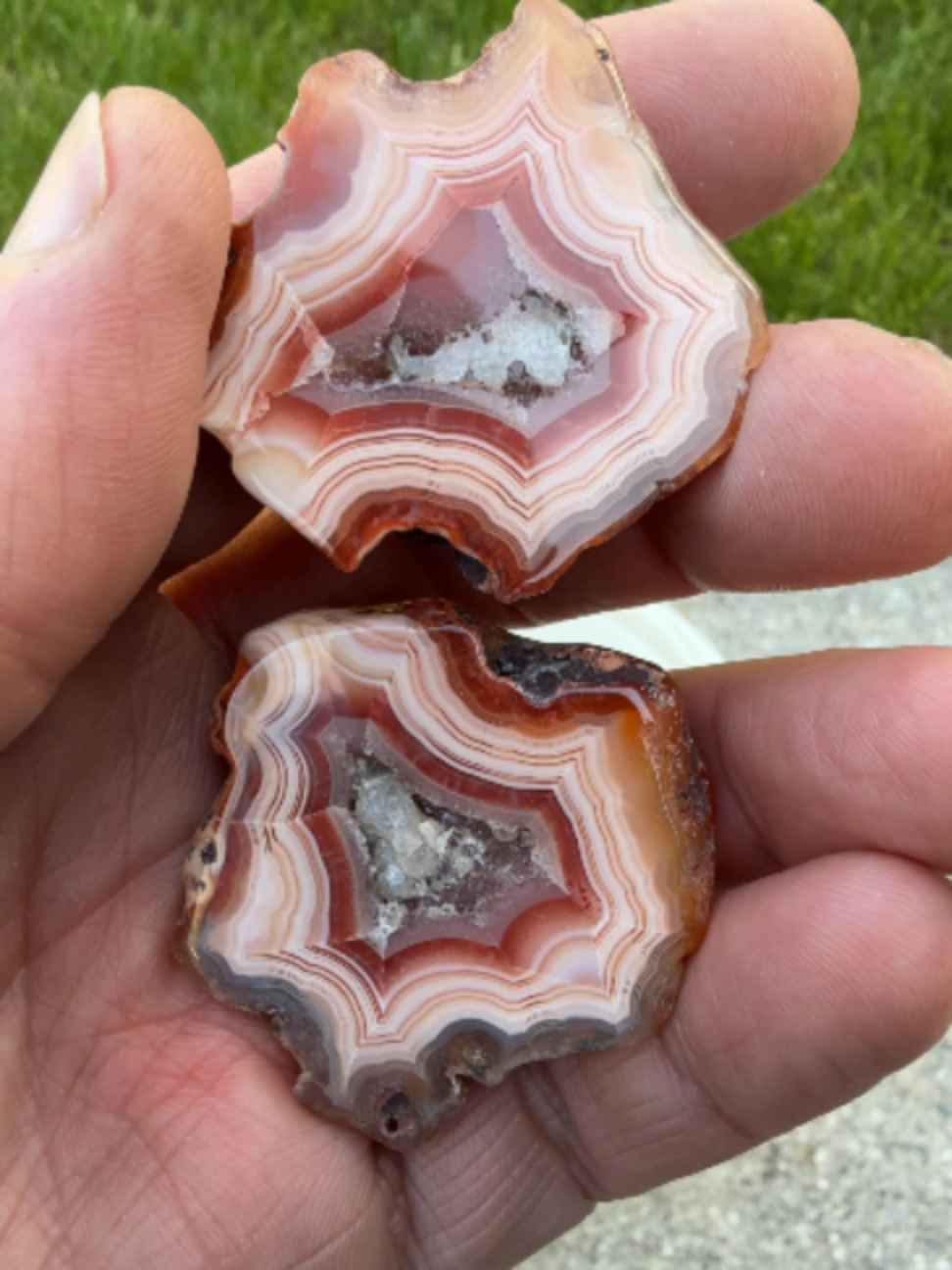 @Michigan Rocks