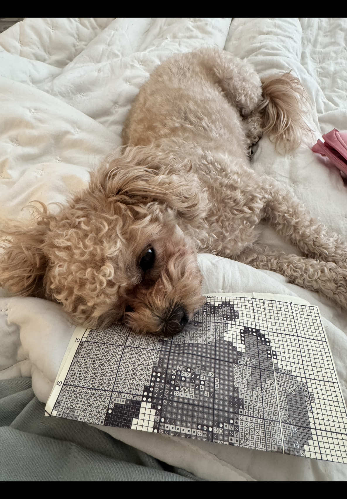 @Reagan Kelly