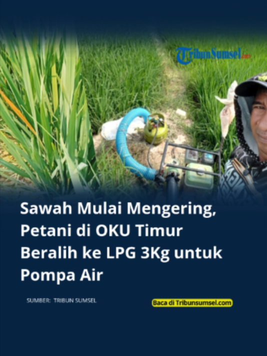 @Tribun Sumsel
