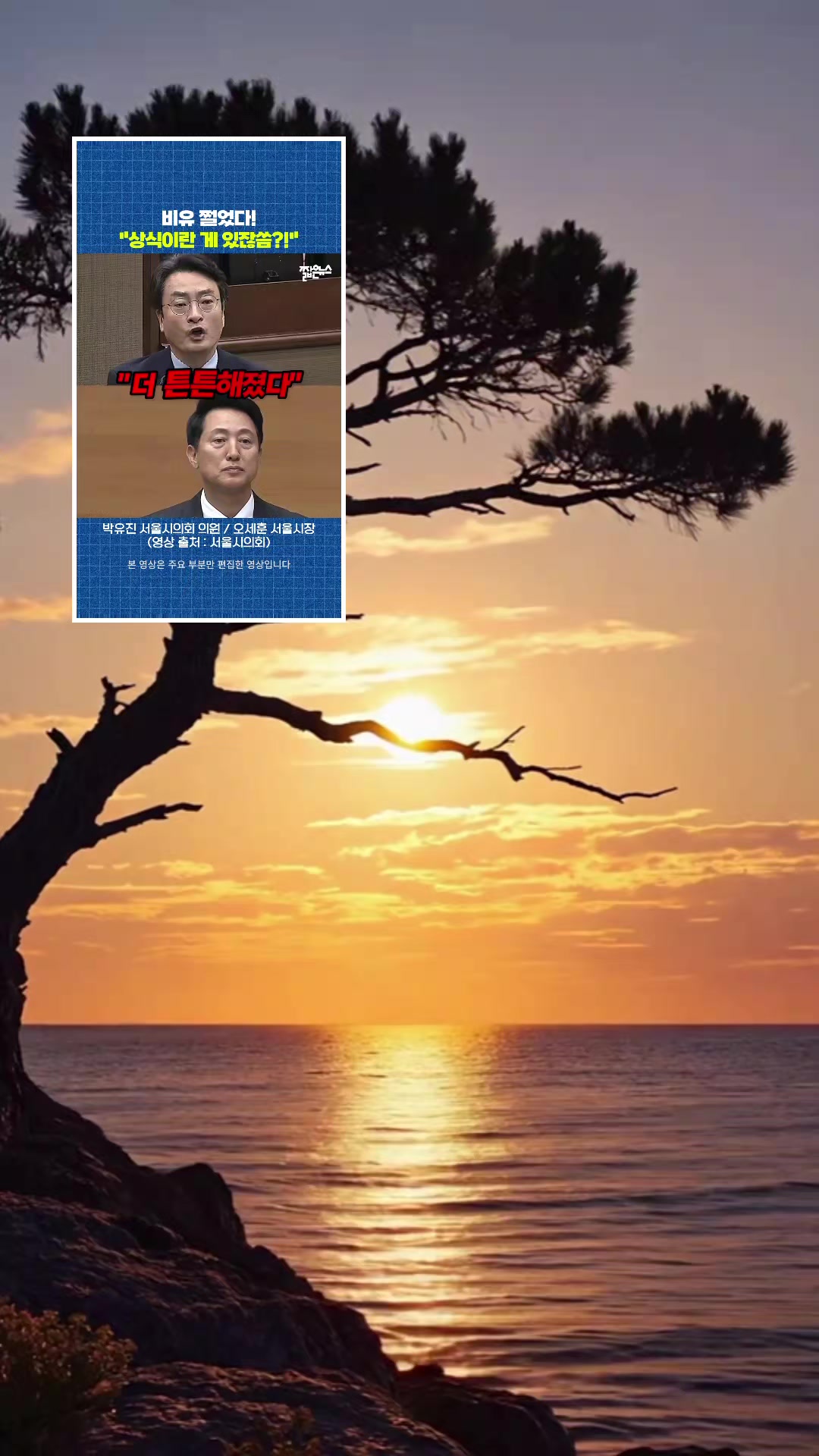 @손세이셔널ks
