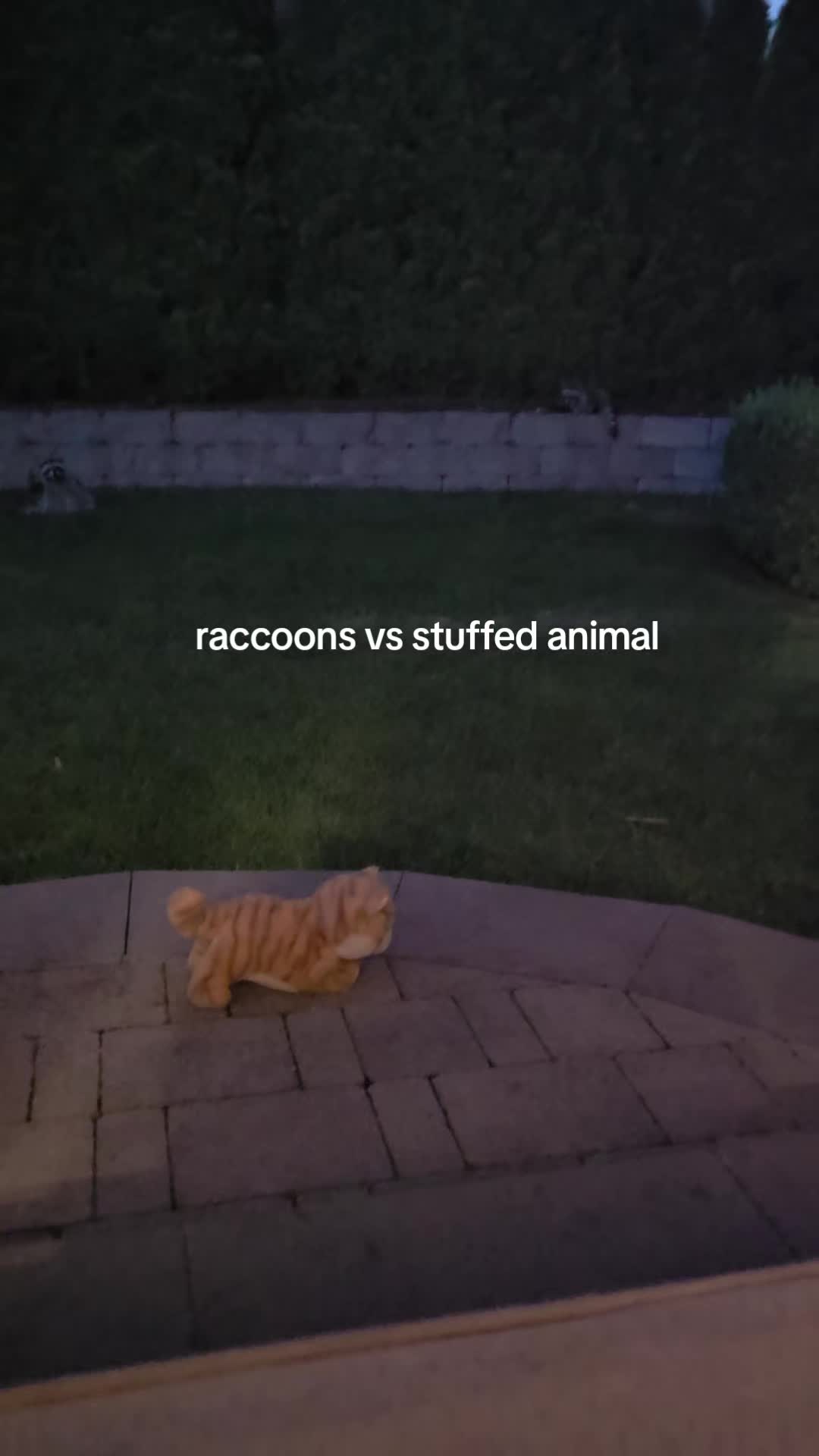 @Raccoon Drive Thru