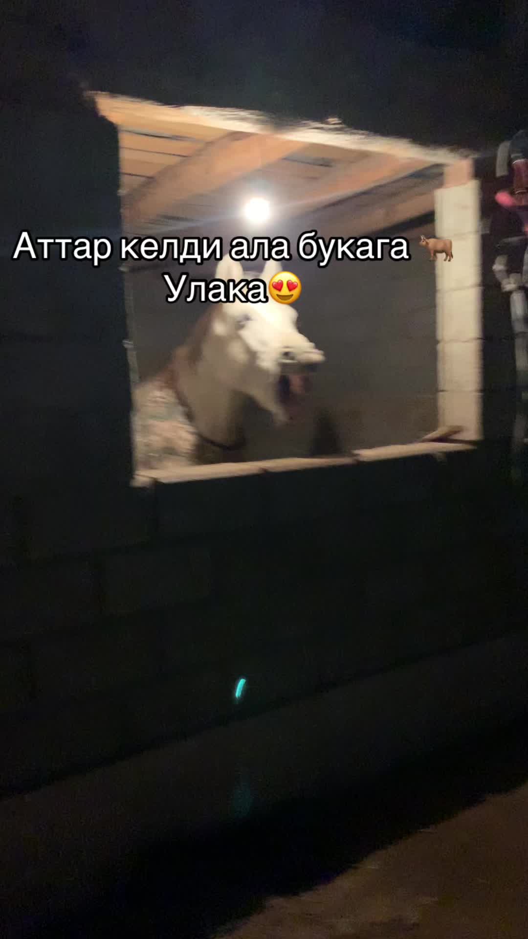 @Allenow77