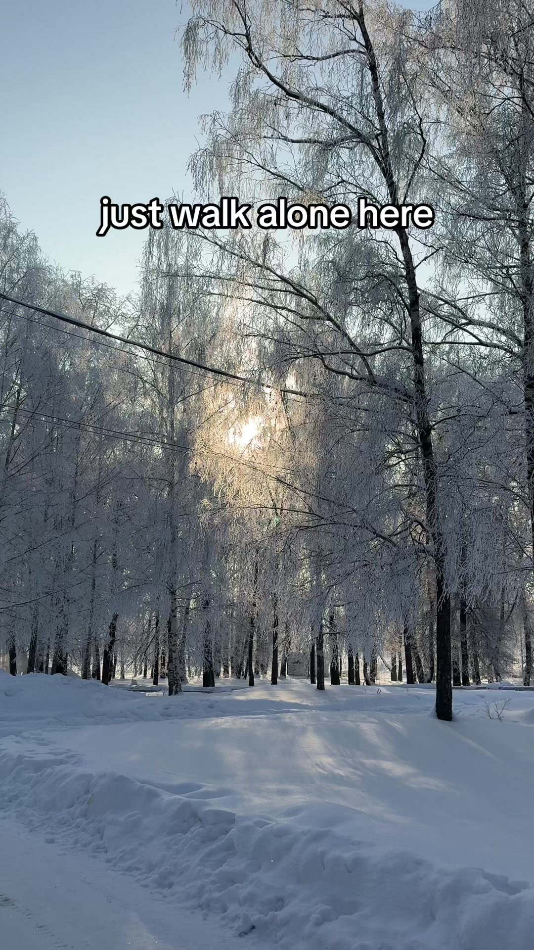 @traks_all