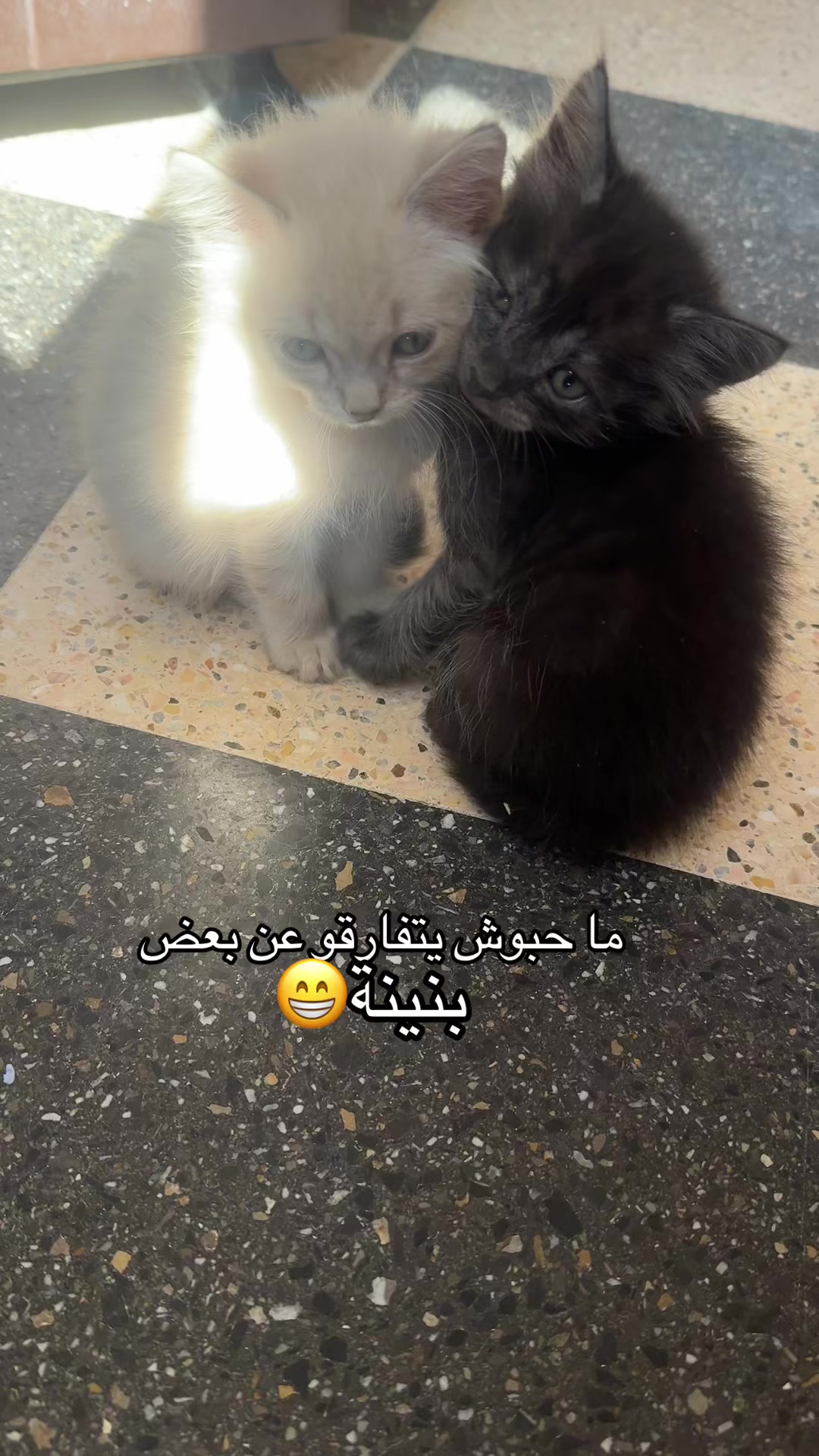 @kouki.beauty14_tiaret