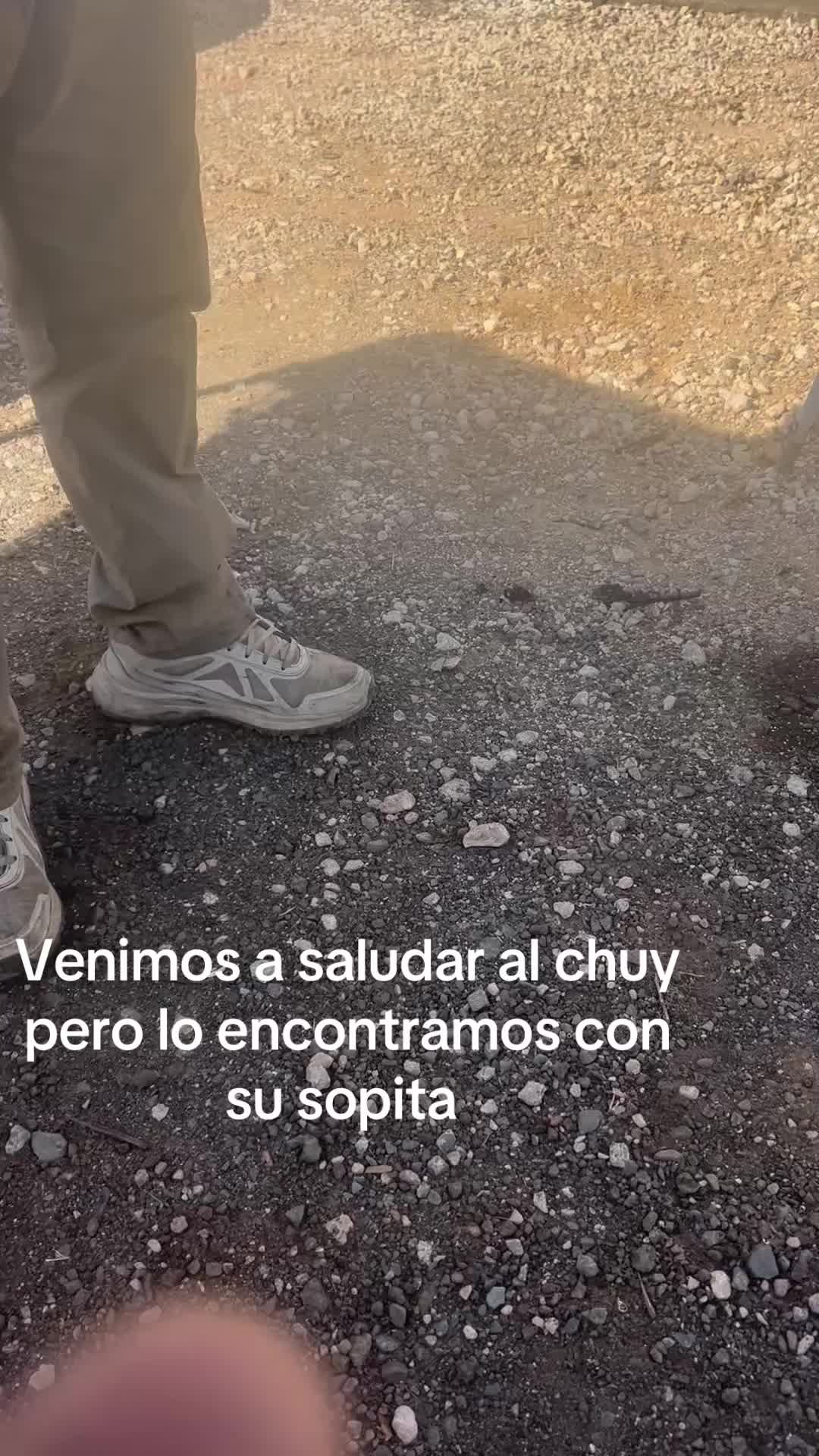 @Sabino Magallon