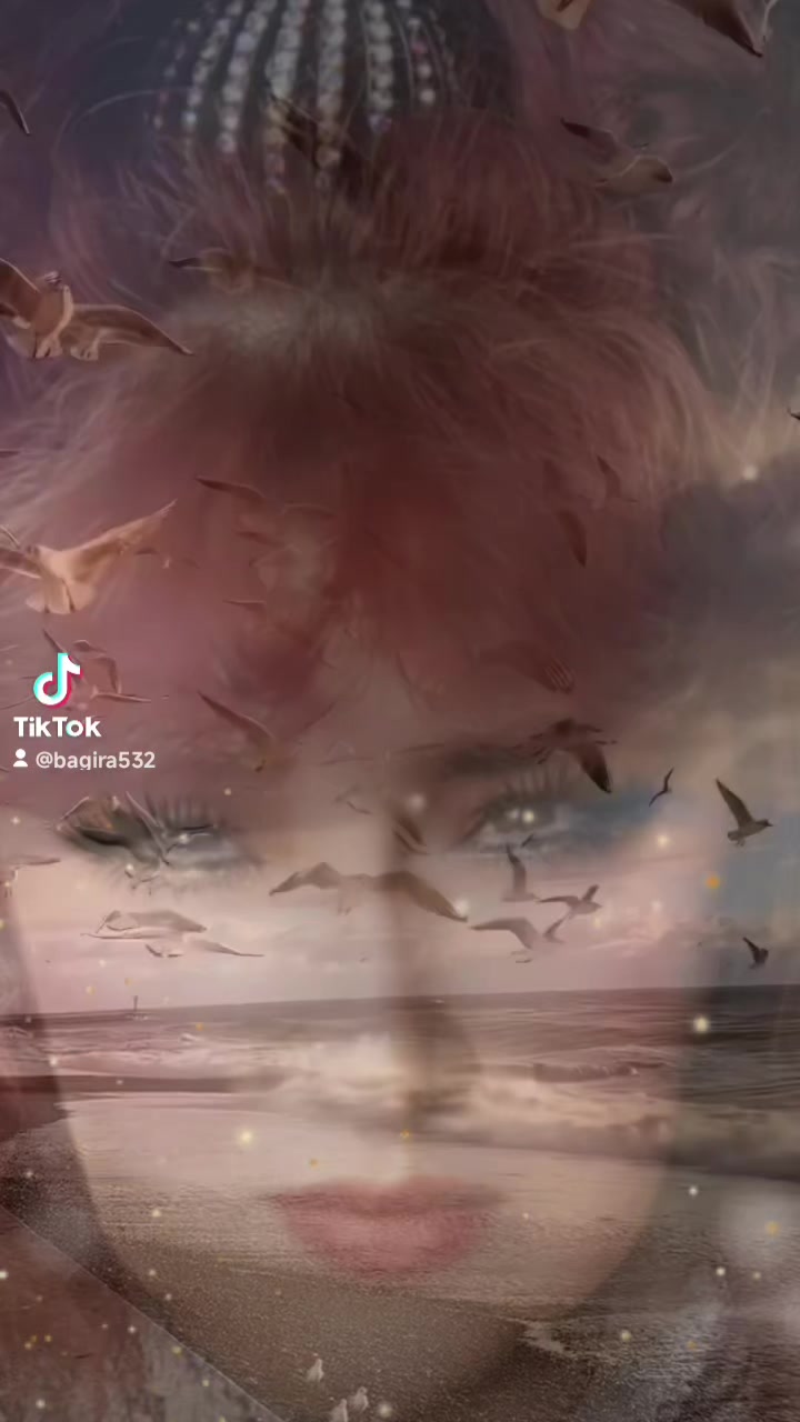 @bagira532