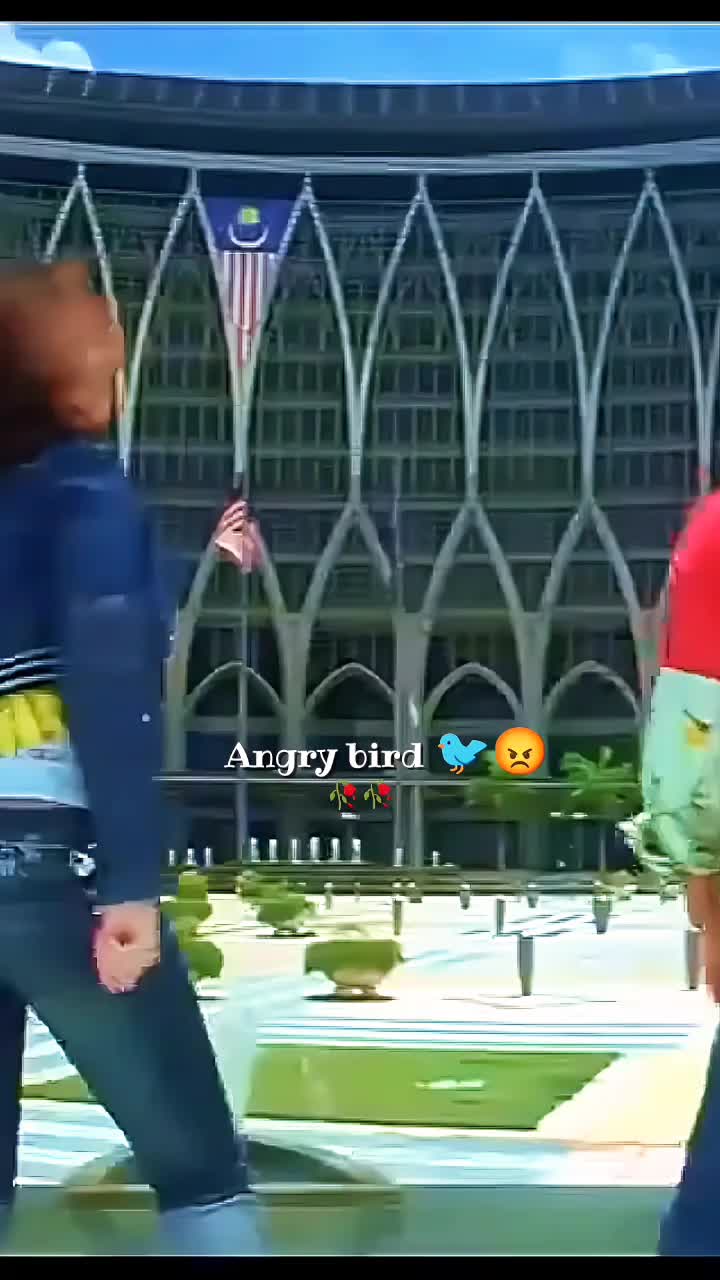 @💫𝖆𝖓𝖌𝖗𝖞 𝖇𝖎𝖗𝖉𝖘💫💥