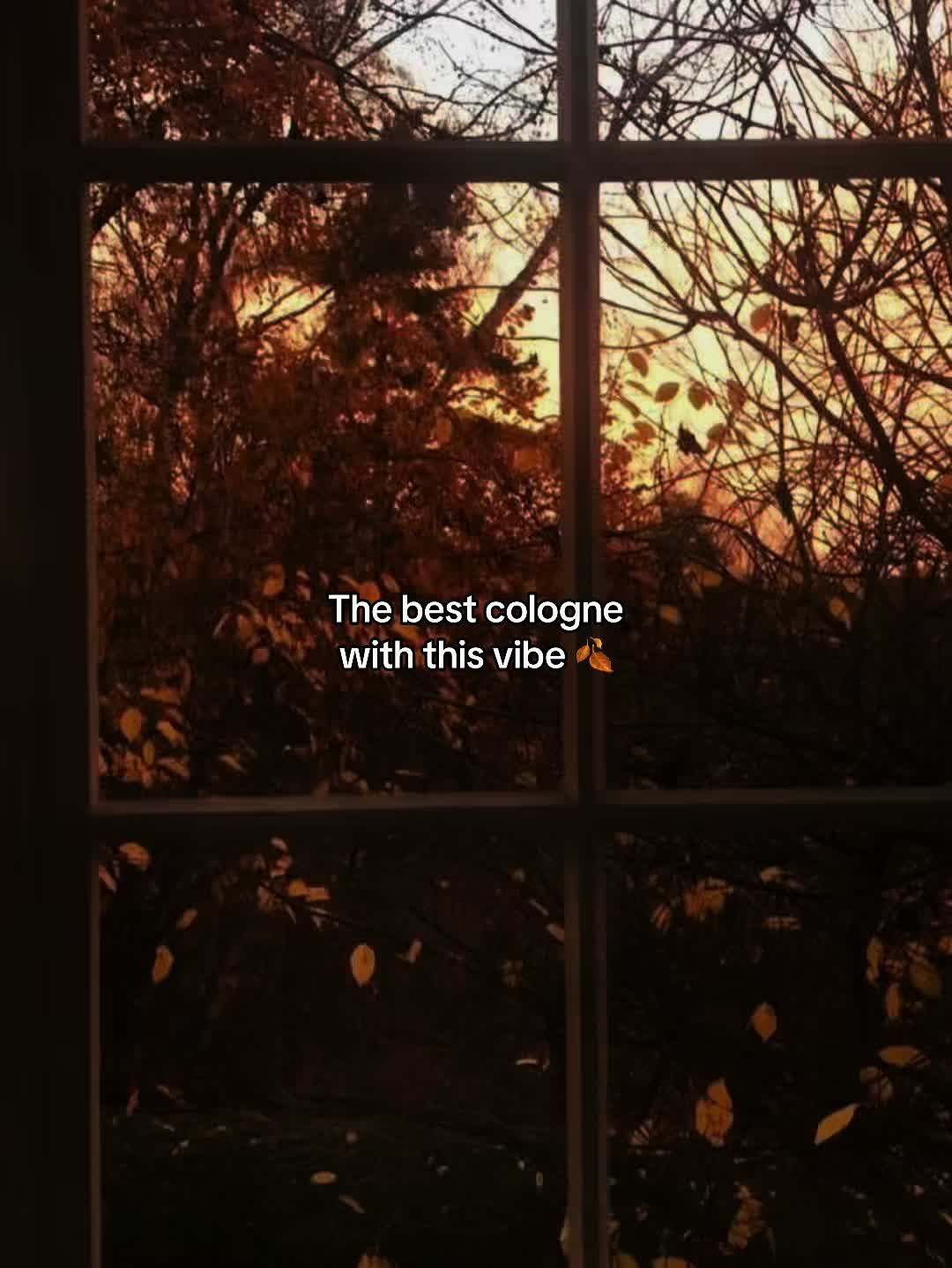 @spookyseasonftw