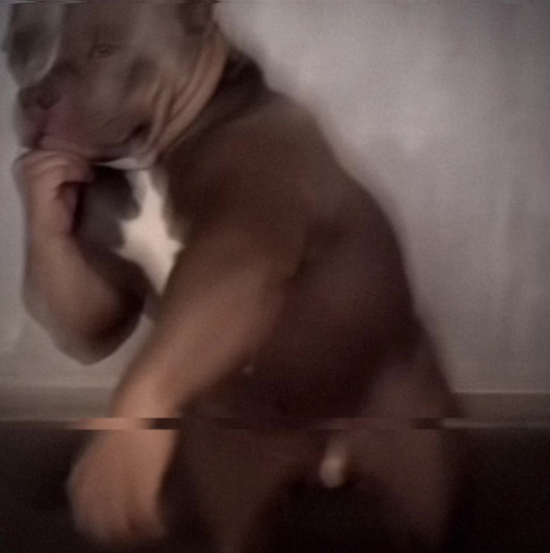 @𝑹𝑨𝑵𝑫𝑶𝑴