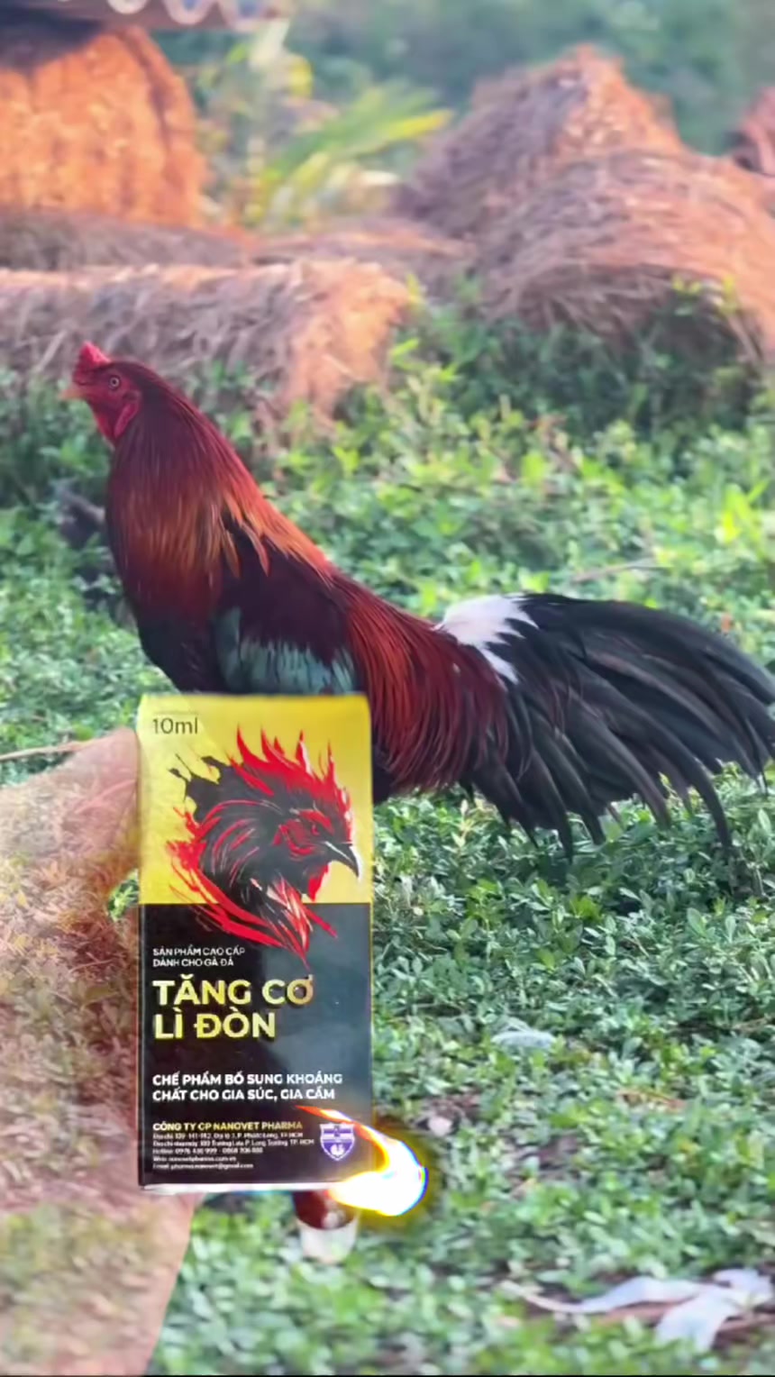 @tuong Vy 1991
