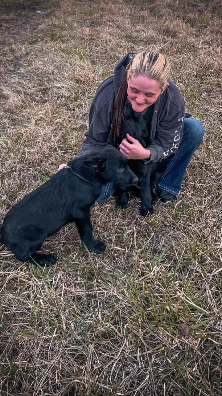 @🖤Kristin | Ironbound GSD🐾