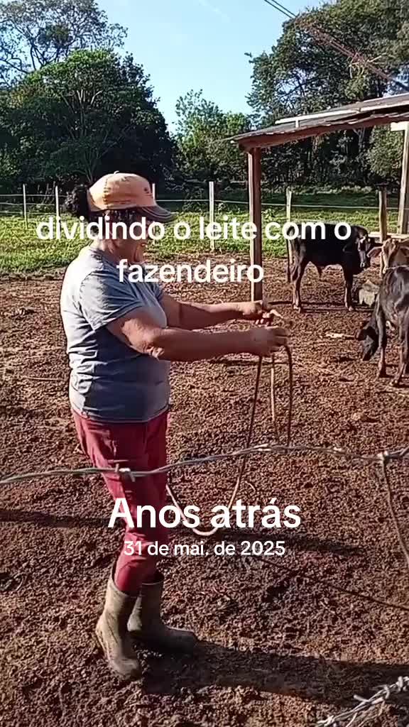 @Silvana Franco /vida na ro&ccedil;a