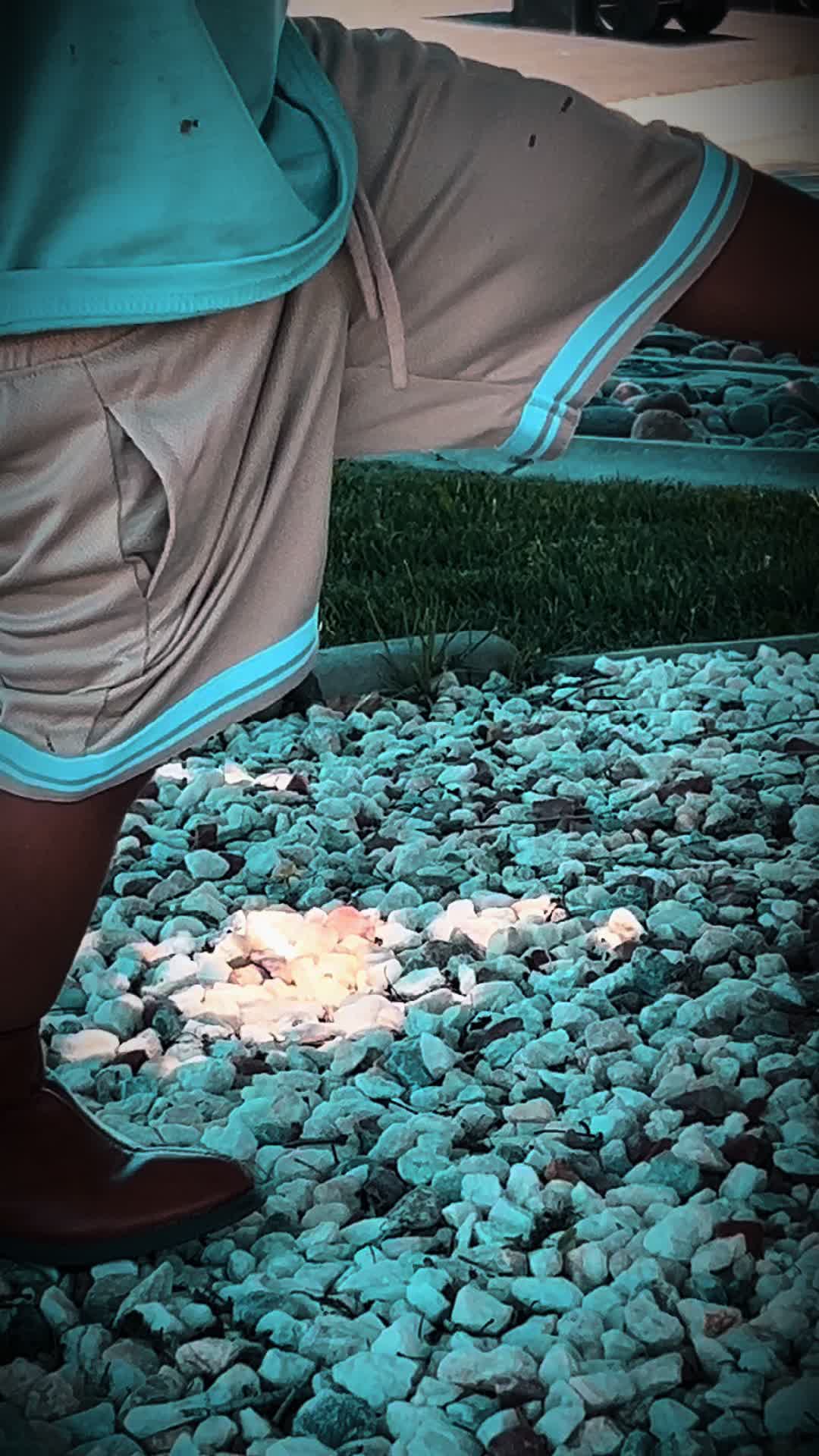 @Elsa Paiz