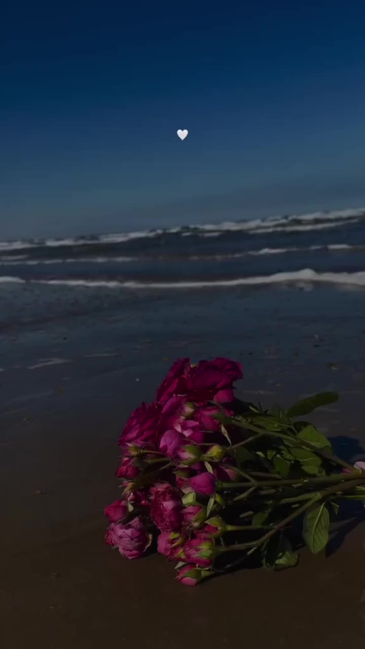 @shahnoza_070